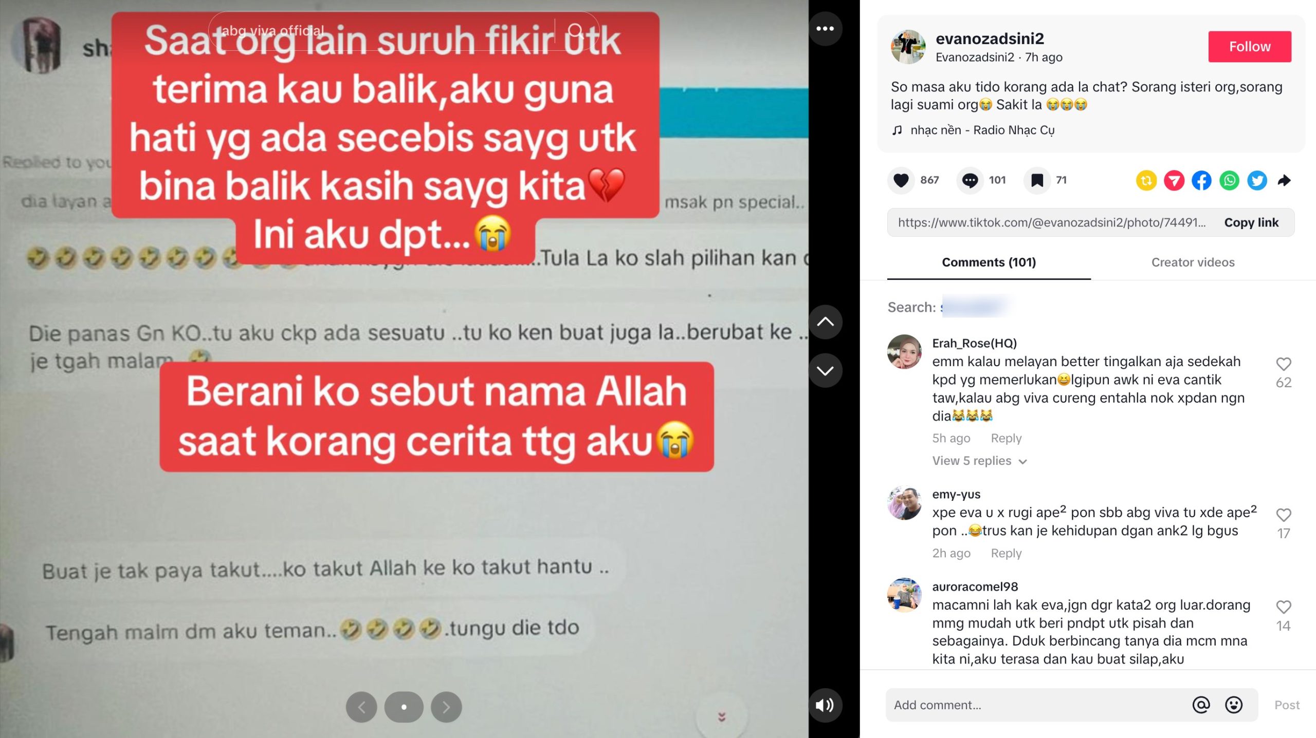 Isteri Abang Viva